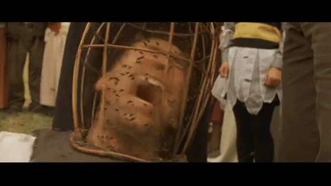 soy_playense_piquetes_insectos_