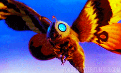 soy_playense_piqutes_insectos_6